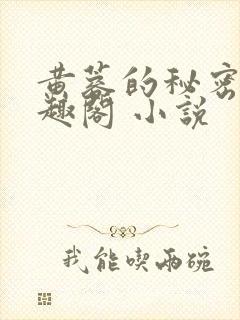 黄蓉的秘密 笔趣阁 小说