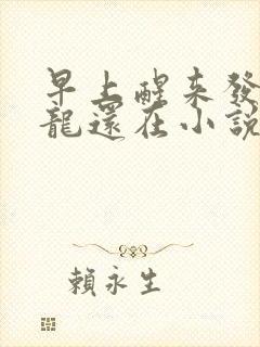 早上醒来发现巨龙还在小说