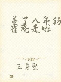 养了八年的金丝雀飞走啦