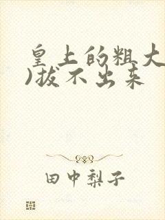 皇上的粗大(h)拔不出来封面