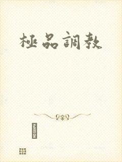 极品调教封面