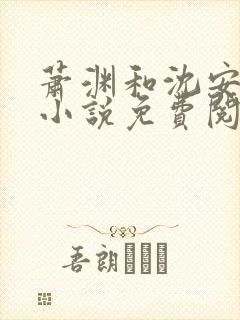 萧渊和沈安安的小说免费阅读