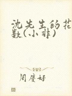 沈先生的花式调数(小非)