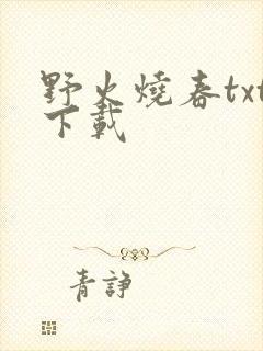 野火烧春txt下载封面