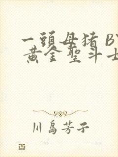 一头母猪 BY 黄金圣斗士