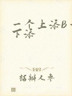 一个上添B一个下添