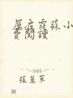 厉夜霆苏小汐免费阅读