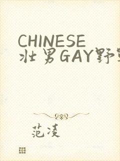 CHINESE壮男GAY野战强迫TUBE封面
