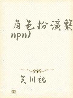 角色扮演系统(npn)