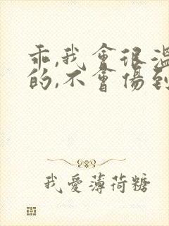 乖,我会很温柔的,不会伤到你小说封面