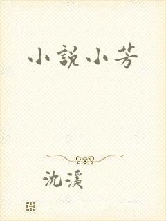 小说小芳封面