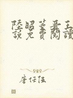 陆昭菱晋王的小说免费阅读