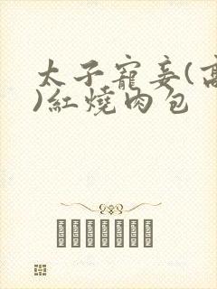 太子宠妾(高肉)红烧肉包