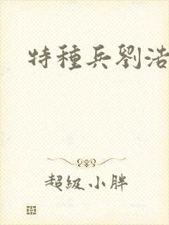 特种兵刘浩封面
