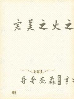 完美之火之灰烬封面