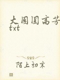 大团圆高芳小说txt