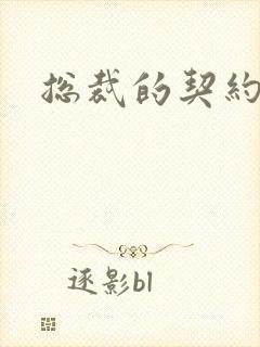 总裁的契约情人