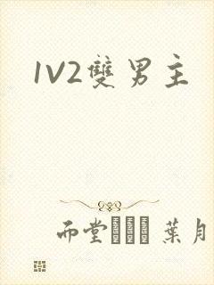 1V2双男主