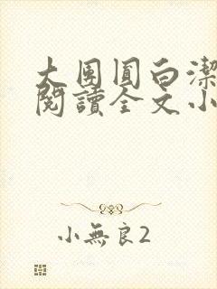 大团圆白洁免费阅读全文小说封面