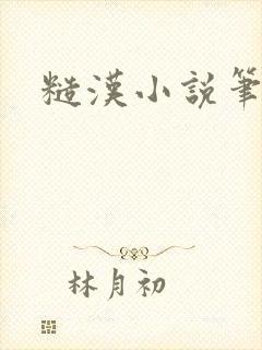 糙汉小说笔趣阁封面