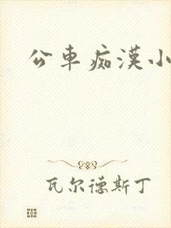 公车痴汉小说封面