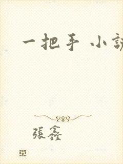 一把手 小说