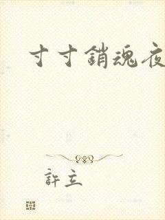 寸寸销魂夜春光