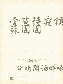 含苞待宠镇国公苏圆圆