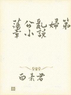 荡公乱妇第51章小说