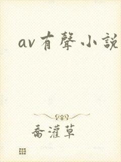 av有声小说