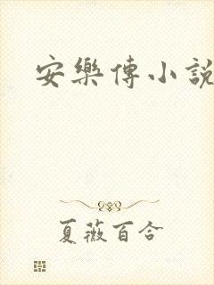 安乐传小说封面