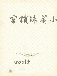 宫锁珠帘小说