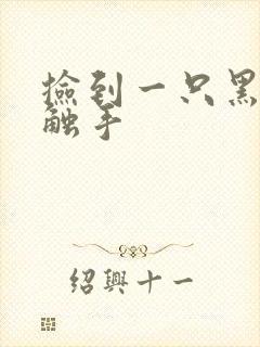 捡到一只黑心小触手封面