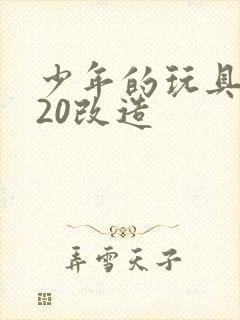 少年的玩具1一20改造封面