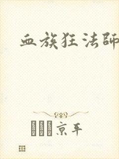 血族狂法师封面