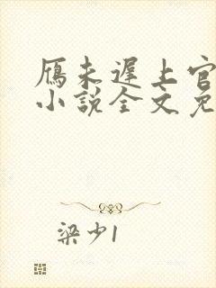 雁未迟上官穿越小说全文免费阅读封面