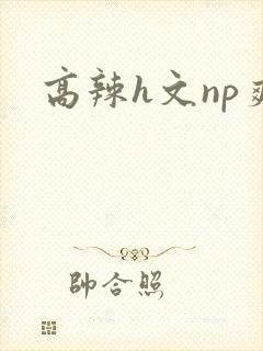 高辣h文np爽