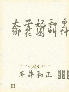 太子妃和皇帝在御花园叫什么小说封面