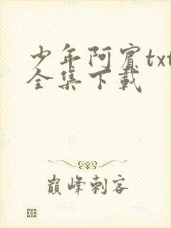 少年阿宾txt全集下载