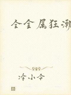 全金属狂潮小说