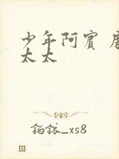 少年阿宾 房东太太