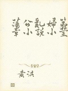 荡公乱妇第51章小说小莹封面