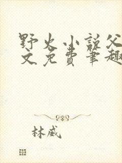 野火小说父女全文免费笔趣阁封面