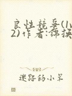 良性竞争(1v2)作者:锦换封面