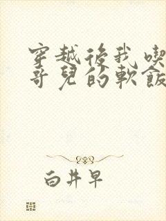 穿越后我吃到了哥儿的软饭炉山灰封面