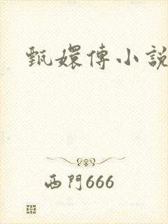 甄嬛传小说封面