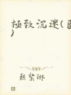 极致沉迷(臣年)封面