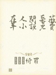 在人间采薇陆三平小说免费阅读封面