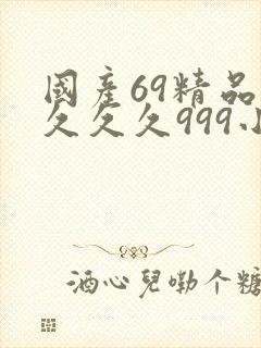 国产69精品久久久久999小说