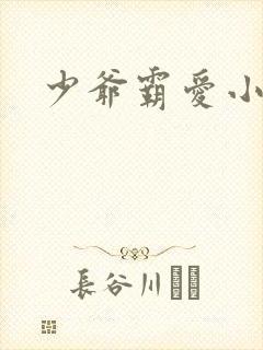 少爷霸爱小丫头封面